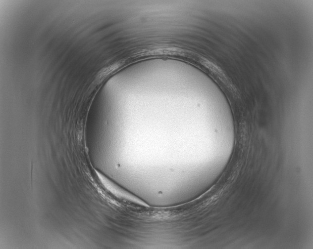 X0000078830841200612041811