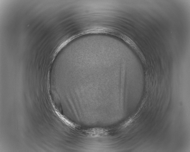 X0000078830842200612041811