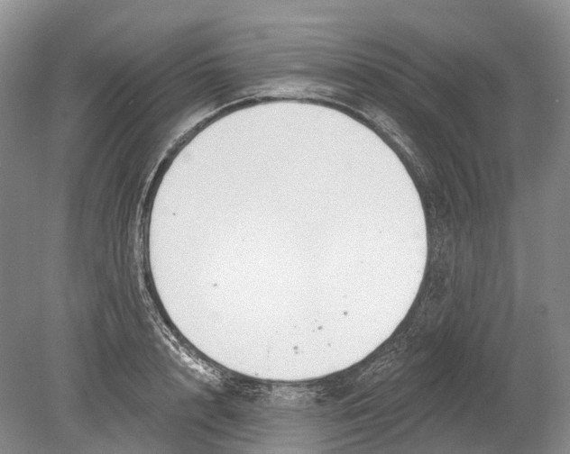 X0000078830848200612041811