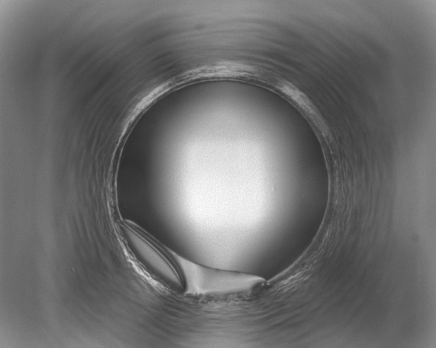 X0000078830850200612041811