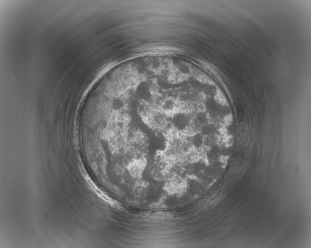 X0000078830851200612041811