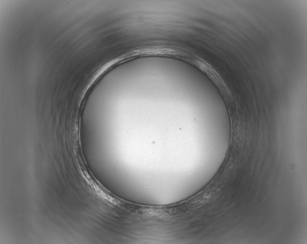 X0000078830852200612041811