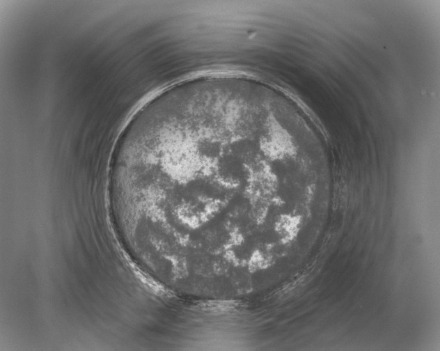 X0000078830853200612041811