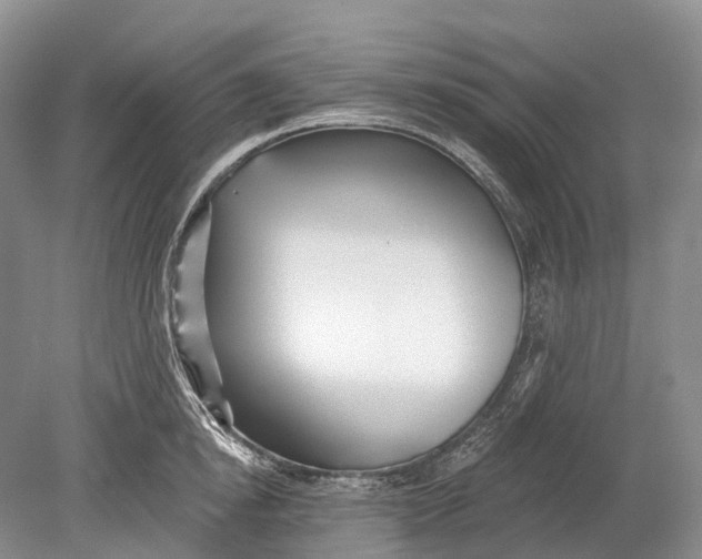 X0000078830854200612041811