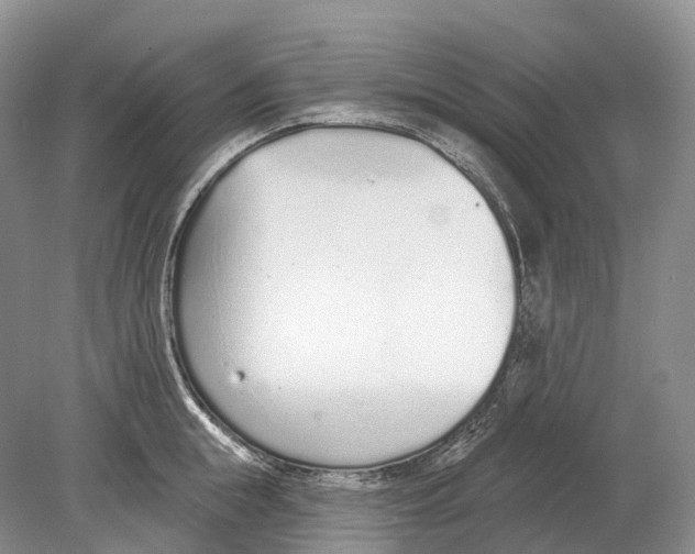 X0000078830855200612041811