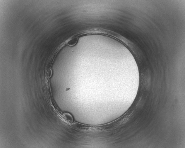 X0000078830857200612041811