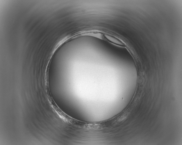 X0000078830858200612041811