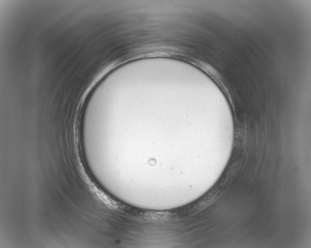 X0000078830859200612041811