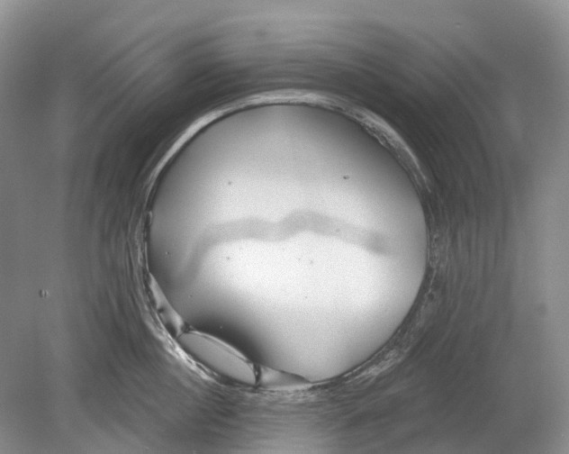 X0000078830860200612041811