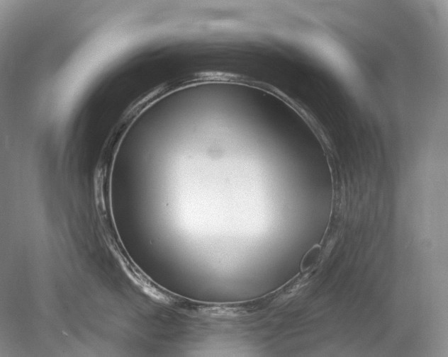 X0000078830862200612041811