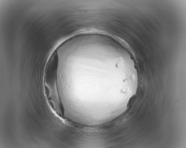 X0000078830863200612041811