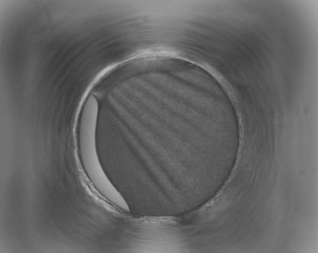 X0000078830864200612041811