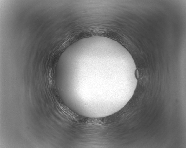 X0000078830866200612041811