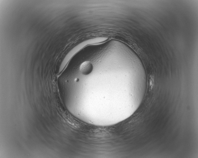 X0000078830867200612041811