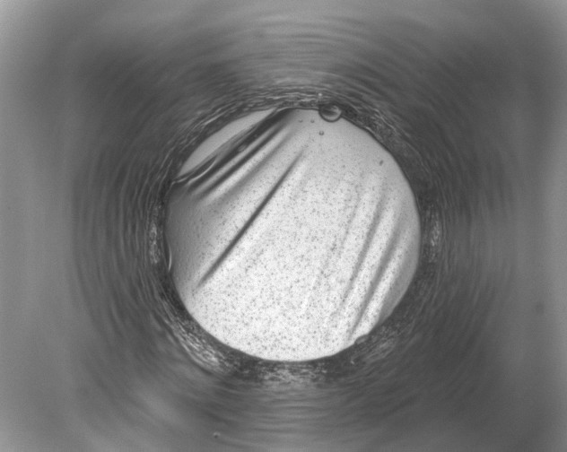 X0000078830868200612041810