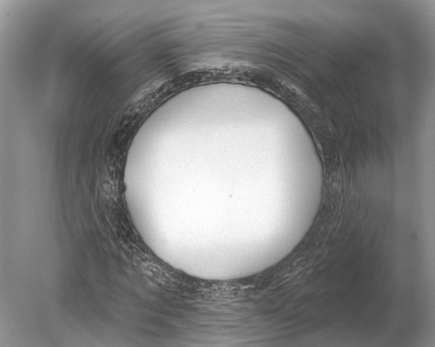 X0000078830869200612041810