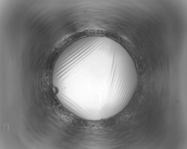 X0000078830870200612041810