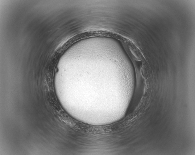 X0000078830871200612041810