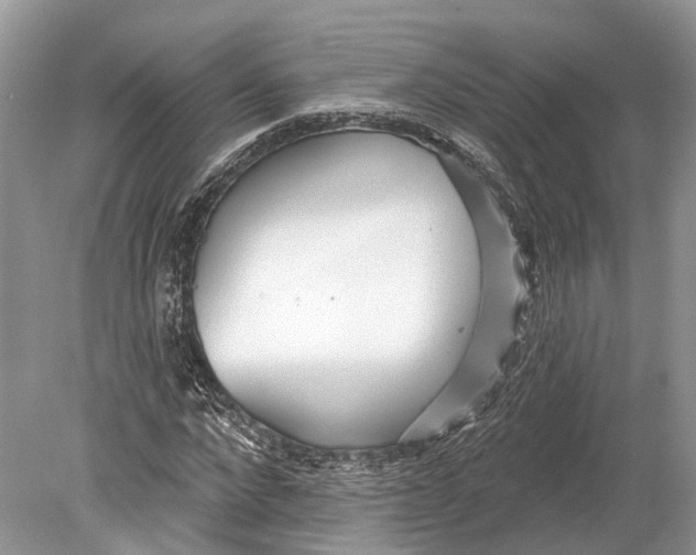 X0000078830872200612041810