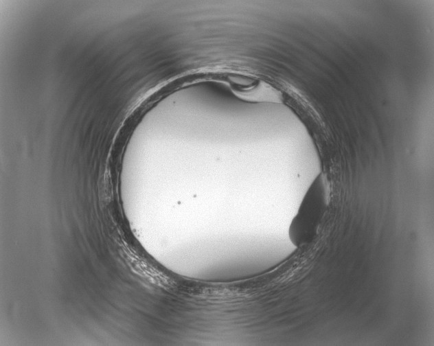 X0000078830876200612041810