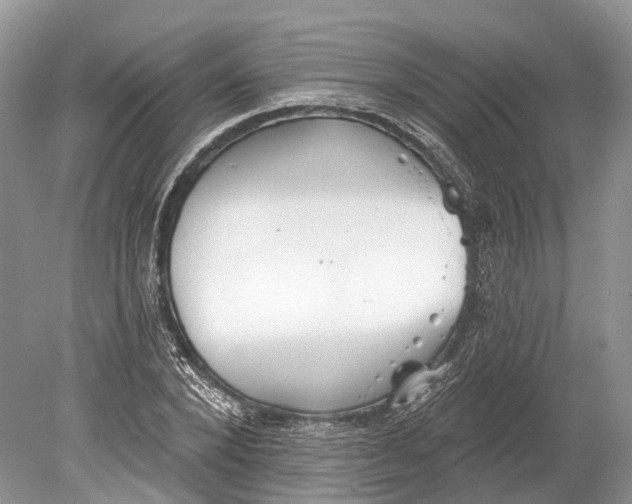 X0000078830880200612041810