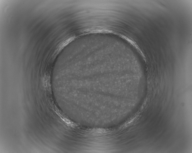 X0000078830881200612041810