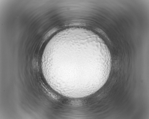 X0000078830882200612041810