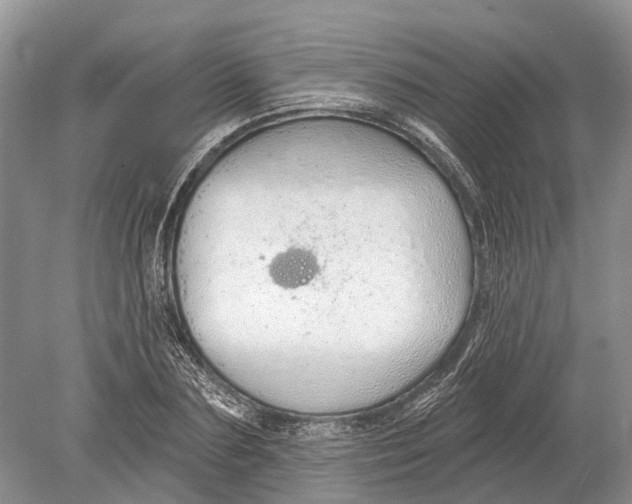 X0000078830883200612041810