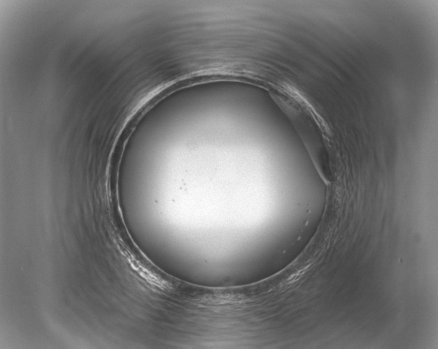 X0000078830884200612041810