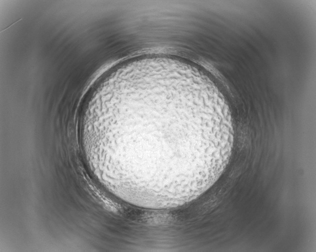 X0000078830886200612041810