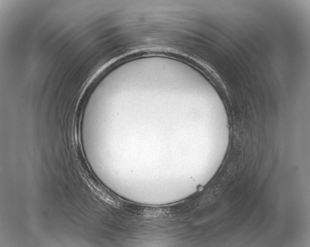 X0000078830887200612041810