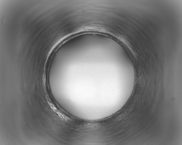 X0000078830888200612041810