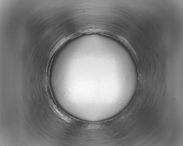 X0000078830890200612041810