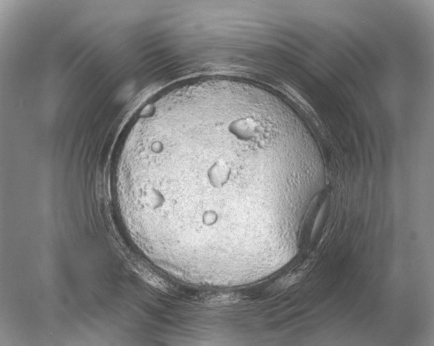 X0000078830891200612041810