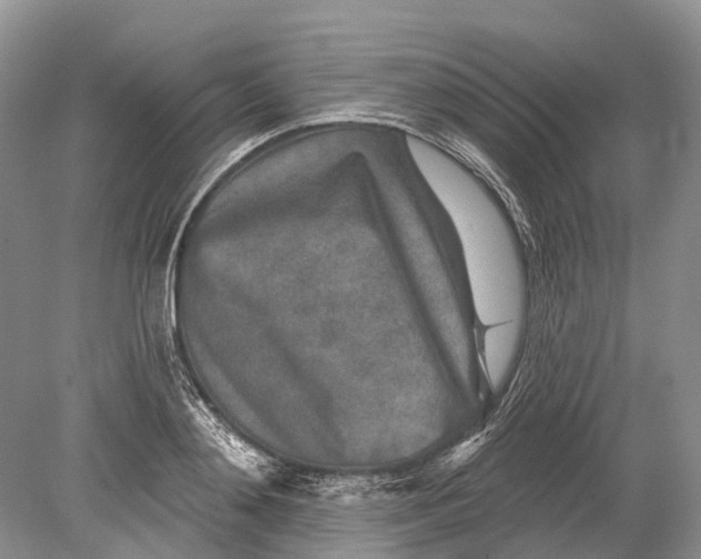 X0000078830892200612041810