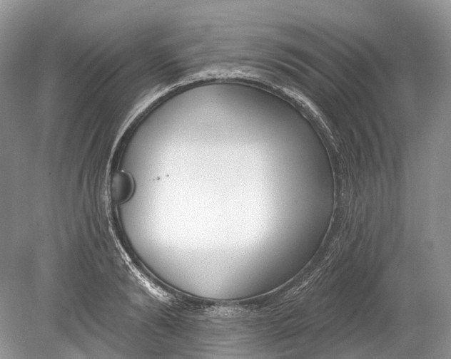 X0000078830894200612041810