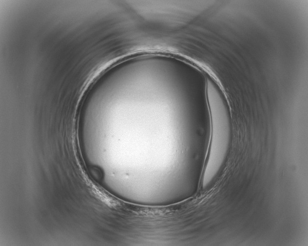 X0000078830895200612041810