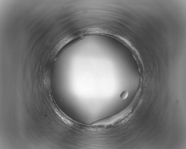 X0000078830897200612041810