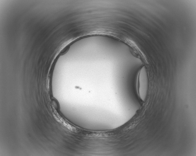 X0000078830900200612041810