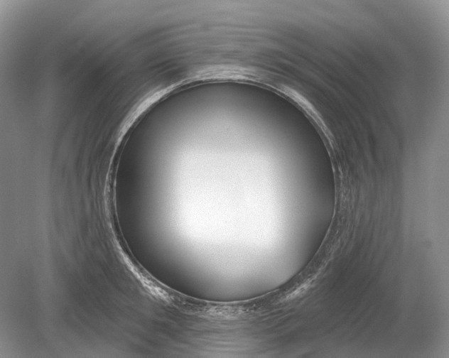 X0000078830901200612041810