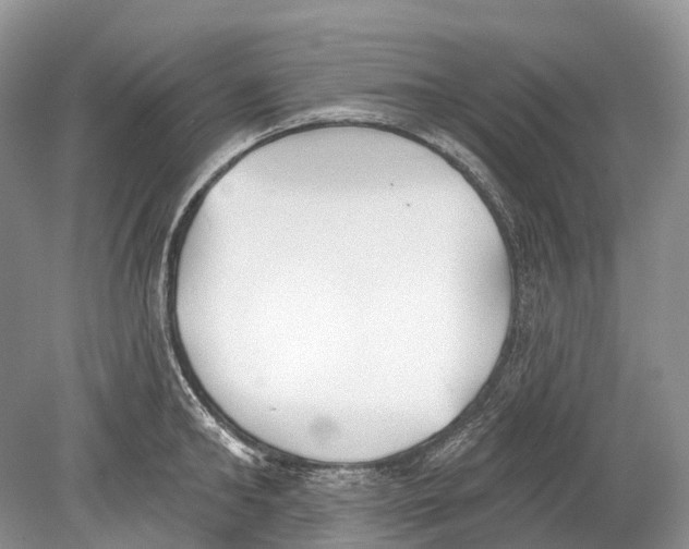 X0000078830902200612041810