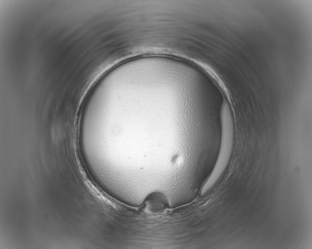 X0000078830903200612041810