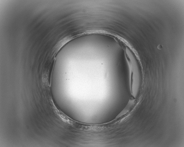 X0000078830905200612041810