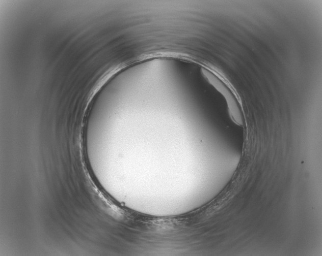 X0000078830906200612041810