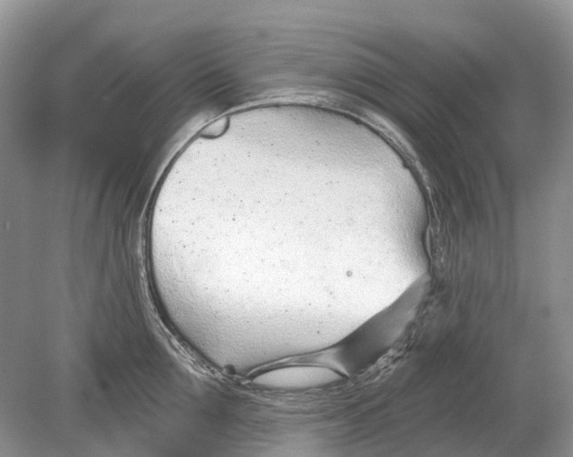 X0000078830907200612041810