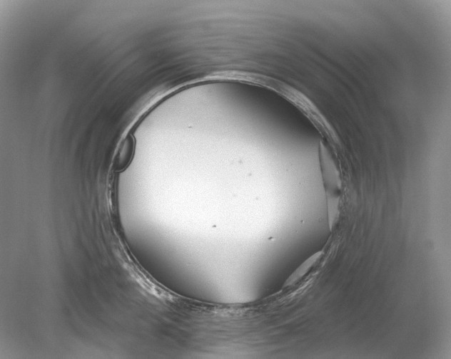 X0000078830908200612041810