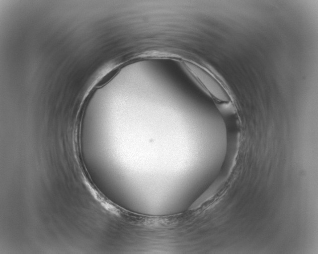 X0000078830909200612041810