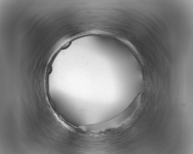 X0000078830910200612041810