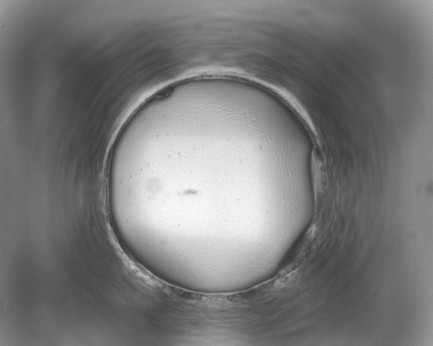 X0000078830911200612041810