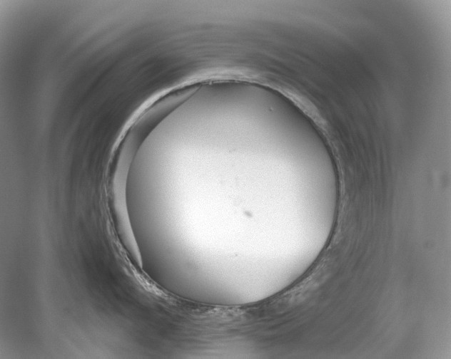 X0000078830912200612041810